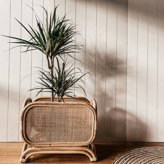 TIKAL Rattan Plant Stand