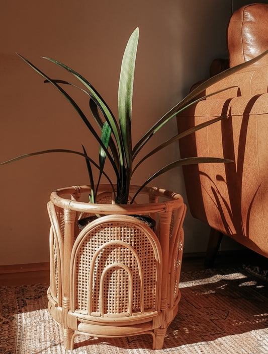 Rattan SAPA Plant Stand